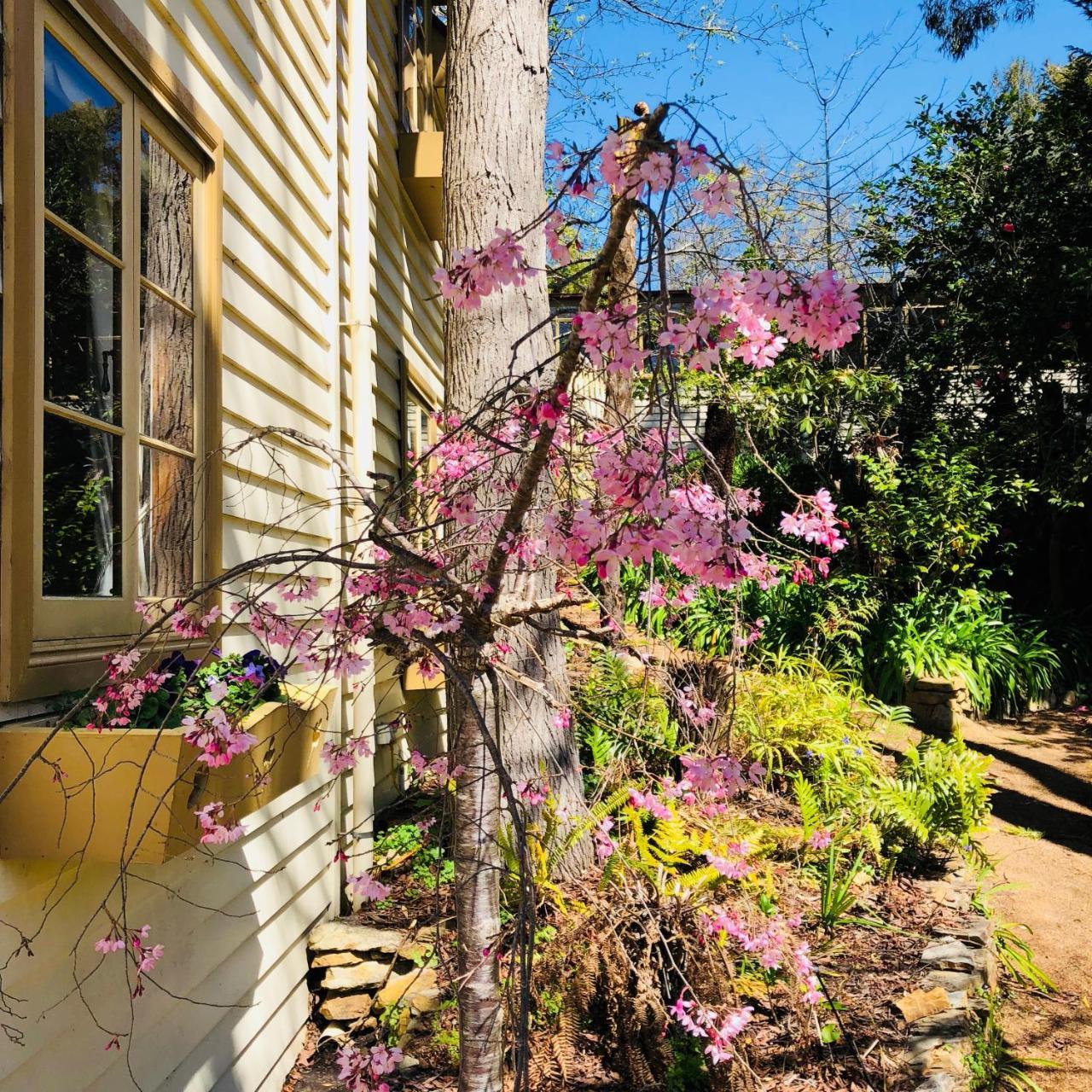 Aldgate Creek Cottage Bed And Breakfast Eksteriør bilde
