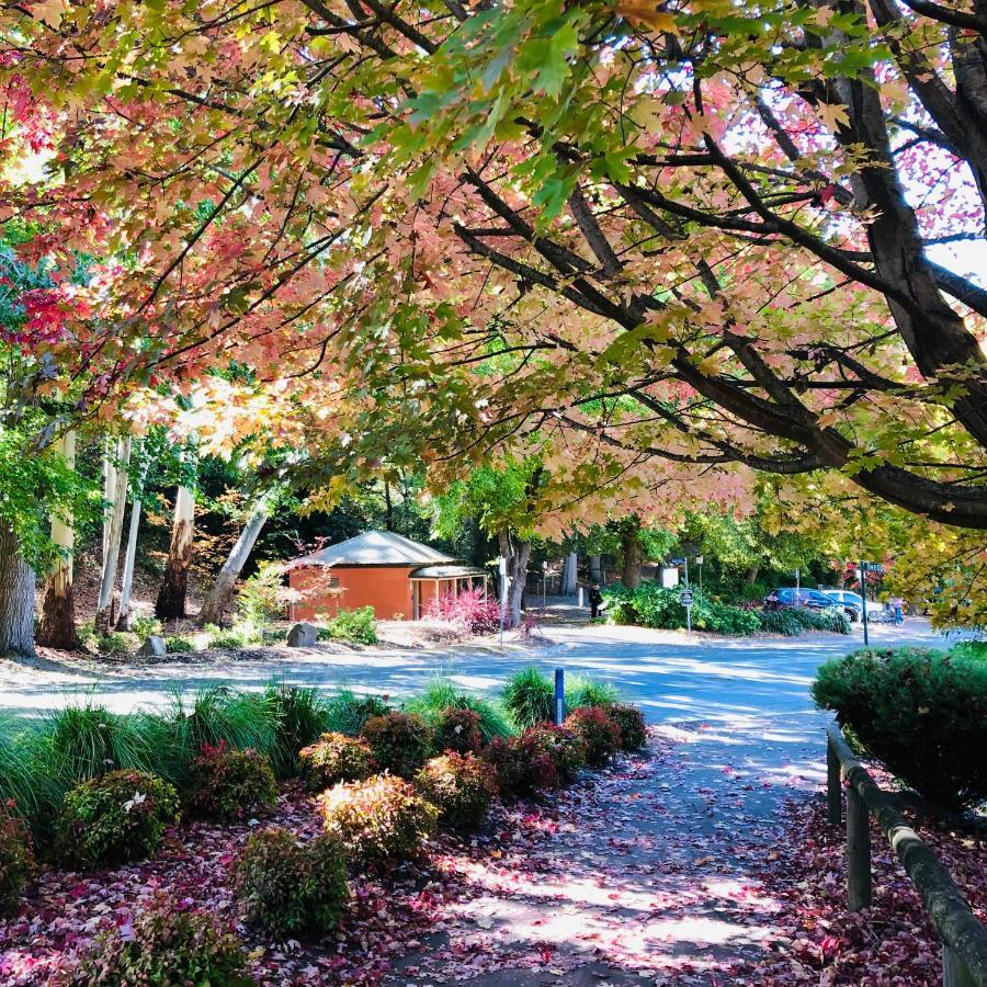 Aldgate Creek Cottage Bed And Breakfast Eksteriør bilde